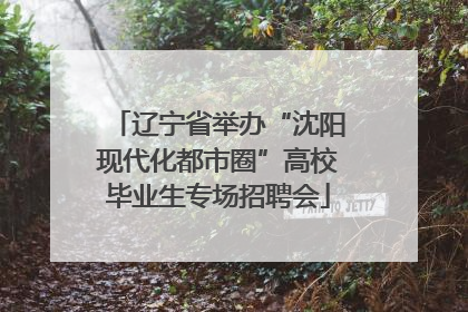 辽宁省举办“沈阳现代化都市圈”高校毕业生专场招聘会