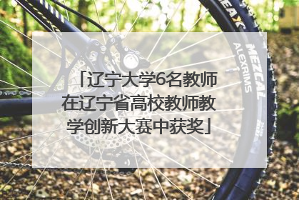 辽宁大学6名教师在辽宁省高校教师教学创新大赛中获奖