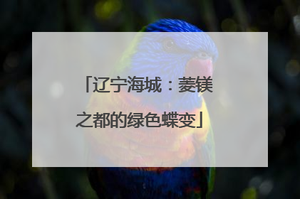 辽宁海城：菱镁之都的绿色蝶变