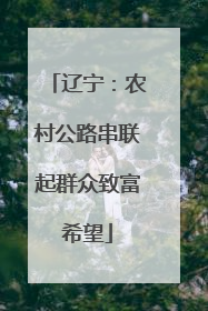 辽宁：农村公路串联起群众致富希望