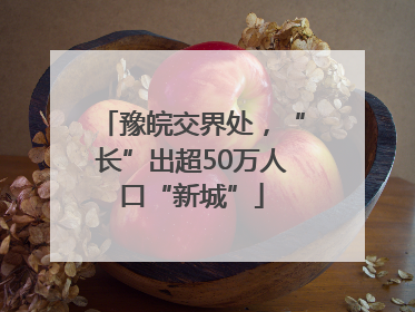 豫皖交界处，“长”出超50万人口“新城”