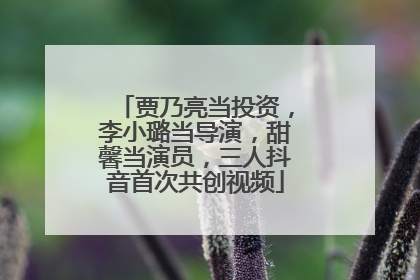 贾乃亮当投资，李小璐当导演，甜馨当演员，三人抖音首次共创视频