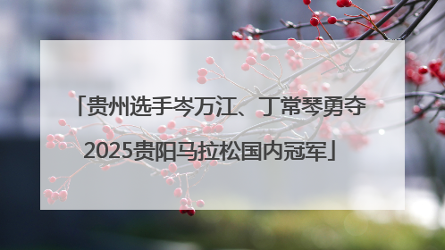 贵州选手岑万江、丁常琴勇夺2025贵阳马拉松国内冠军