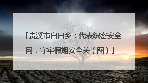 贵溪市白田乡：代表织密安全网，守牢假期安全关（图）