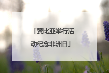 赞比亚举行活动纪念非洲日