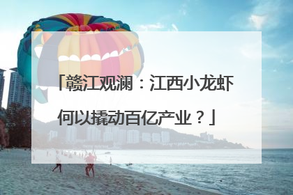 赣江观澜：江西小龙虾何以撬动百亿产业？