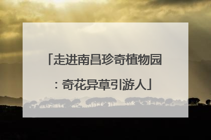 走进南昌珍奇植物园：奇花异草引游人
