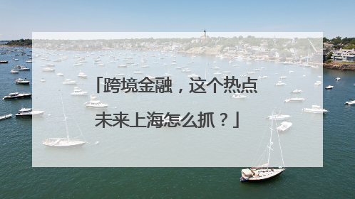 跨境金融，这个热点未来上海怎么抓？