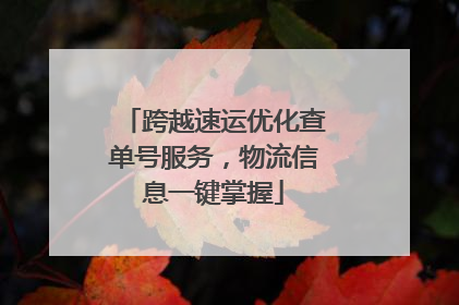 跨越速运优化查单号服务，物流信息一键掌握
