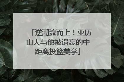 逆潮流而上！亚历山大与他被遗忘的中距离投篮美学