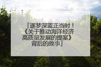 逐梦深蓝正当时！《关于推动海洋经济高质量发展的提案》背后的故事