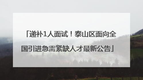递补1人面试！泰山区面向全国引进急需紧缺人才最新公告