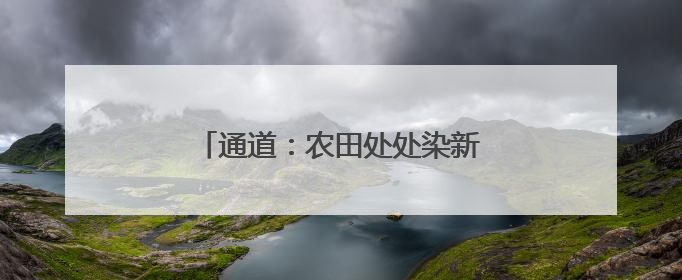 通道：农田处处染新绿 制种水稻移栽忙