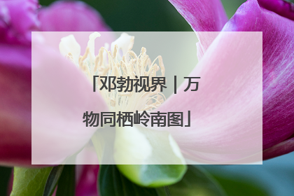 邓勃视界｜万物同栖岭南图