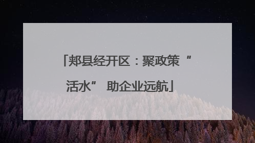 郏县经开区：聚政策“活水” 助企业远航