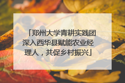 郑州大学青耕实践团深入西华县赋能农业经理人，共促乡村振兴