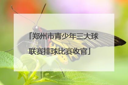 郑州市青少年三大球联赛排球比赛收官