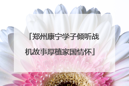 郑州康宁学子倾听战机故事厚植家国情怀