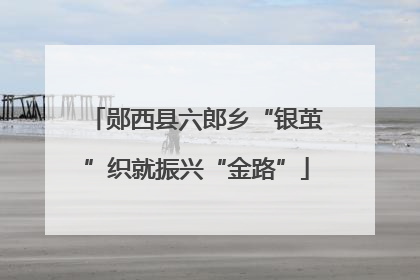郧西县六郎乡“银茧”织就振兴“金路”