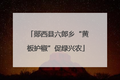 郧西县六郎乡“黄板护椒”促绿兴农