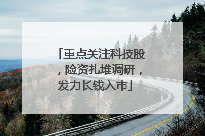 重点关注科技股，险资扎堆调研，发力长钱入市