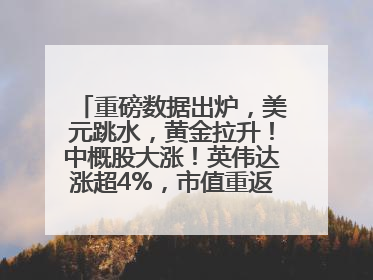 重磅数据出炉，美元跳水，黄金拉升！中概股大涨！英伟达涨超4%，市值重返全球第一！黄仁勋计划出售至多600万股股票