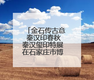 金石传古意 秦汉印春秋秦汉玺印特展在石家庄市博物馆开展