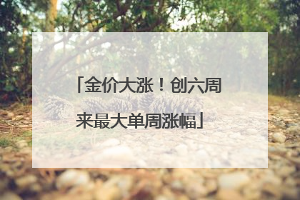 金价大涨！创六周来最大单周涨幅