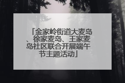 金家岭街道大麦岛、徐家麦岛、王家麦岛社区联合开展端午节主题活动