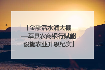 金融活水润大棚——莘县农商银行赋能设施农业升级纪实