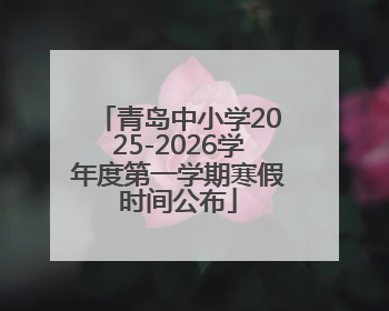 青岛中小学2025-2026学年度第一学期寒假时间公布