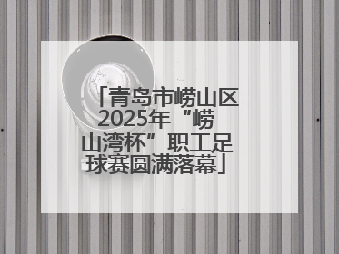 青岛市崂山区2025年“崂山湾杯”职工足球赛圆满落幕