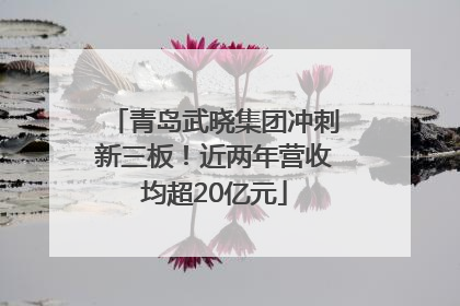 青岛武晓集团冲刺新三板！近两年营收均超20亿元