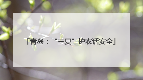 青岛：“三夏”护农话安全