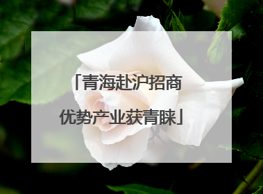 青海赴沪招商 优势产业获青睐