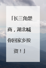 长三角楚商，湖北喊你回家乡投资！