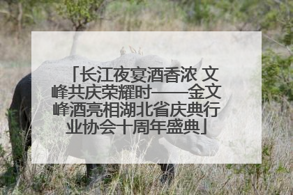 长江夜宴酒香浓 文峰共庆荣耀时——金文峰酒亮相湖北省庆典行业协会十周年盛典