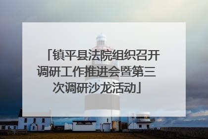 镇平县法院组织召开调研工作推进会暨第三次调研沙龙活动