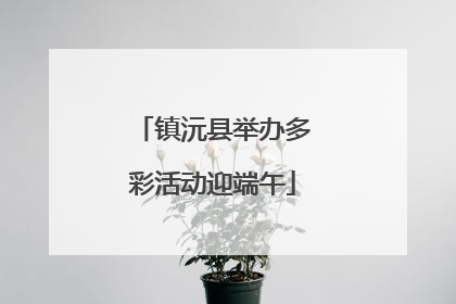 镇沅县举办多彩活动迎端午
