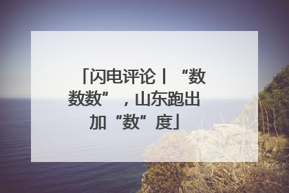 闪电评论丨“数数数”，山东跑出加“数”度
