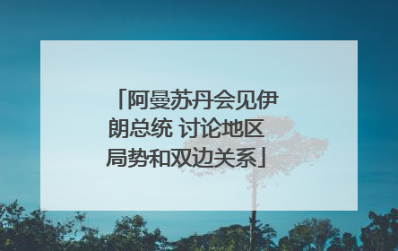 阿曼苏丹会见伊朗总统 讨论地区局势和双边关系