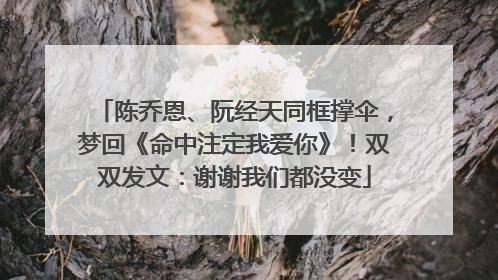 陈乔恩、阮经天同框撑伞，梦回《命中注定我爱你》！双双发文：谢谢我们都没变