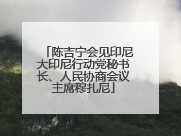 陈吉宁会见印尼大印尼行动党秘书长、人民协商会议主席穆扎尼