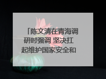 陈文清在青海调研时强调 坚决扛起维护国家安全和社会稳定职责使命 为谱写中国式现代化青海篇章贡献政法力量