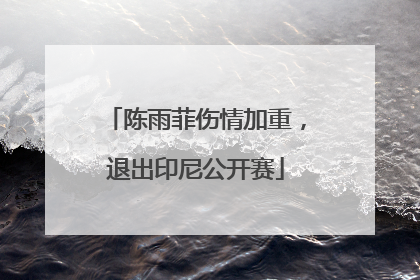 陈雨菲伤情加重，退出印尼公开赛