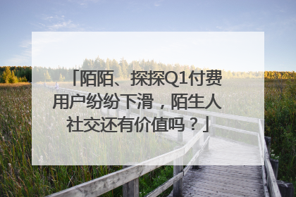 陌陌、探探Q1付费用户纷纷下滑，陌生人社交还有价值吗？