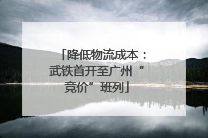 降低物流成本：武铁首开至广州“竞价”班列