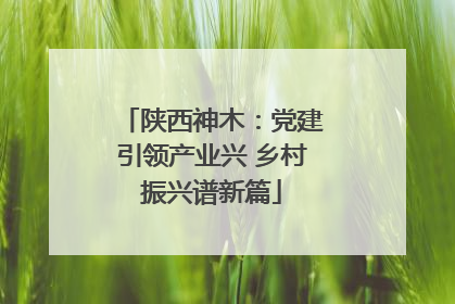 陕西神木：党建引领产业兴 乡村振兴谱新篇