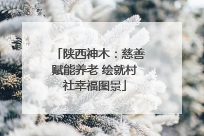 陕西神木：慈善赋能养老 绘就村社幸福图景
