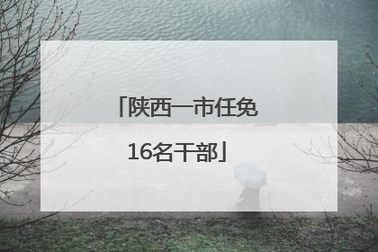 陕西一市任免16名干部